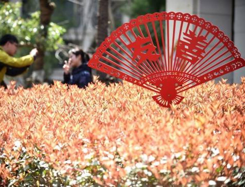 白城宣傳欄加工